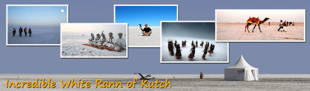 Incredible White Rann of Kutch | Blog