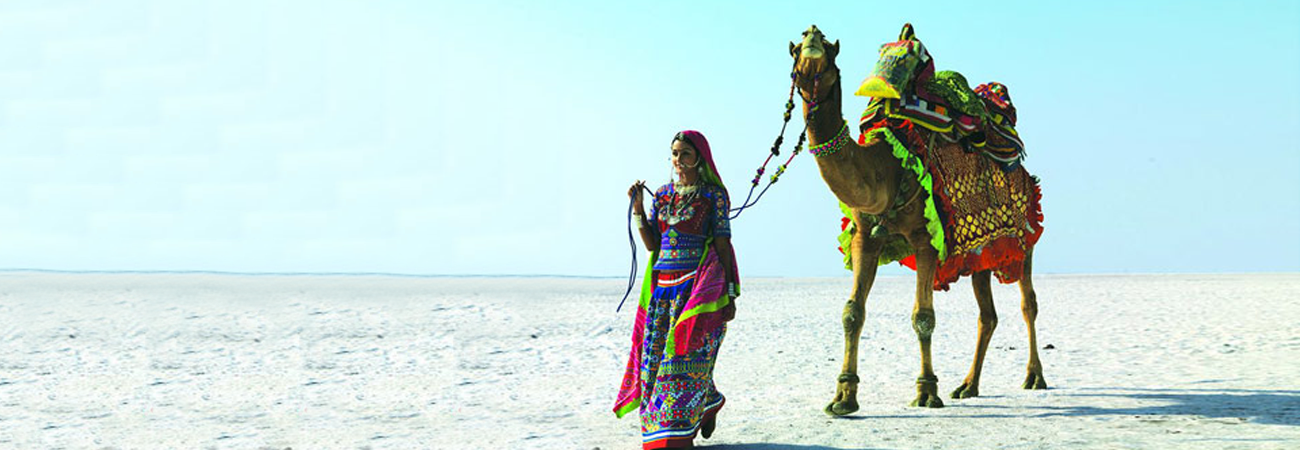 Camel Ride in White Rann - Kutch Tour Guide