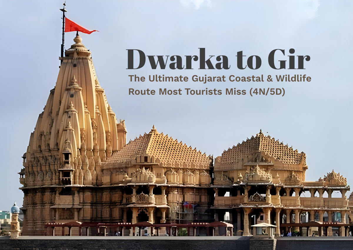 Dwarka To Gir